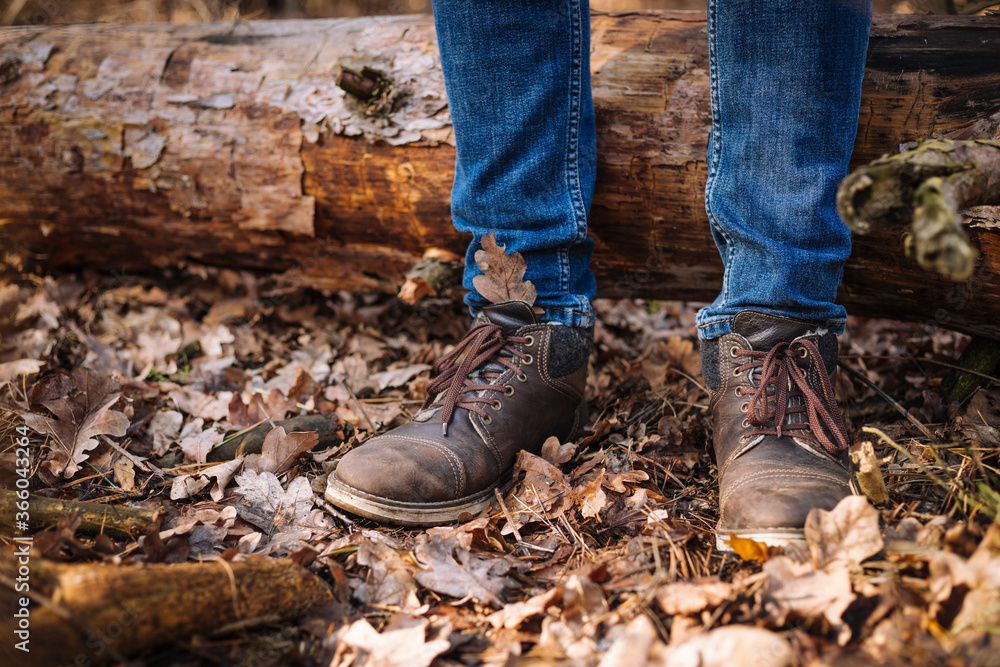 close up photo of human legs in old leather boots and blue jeans standing on the ground with dried leaves