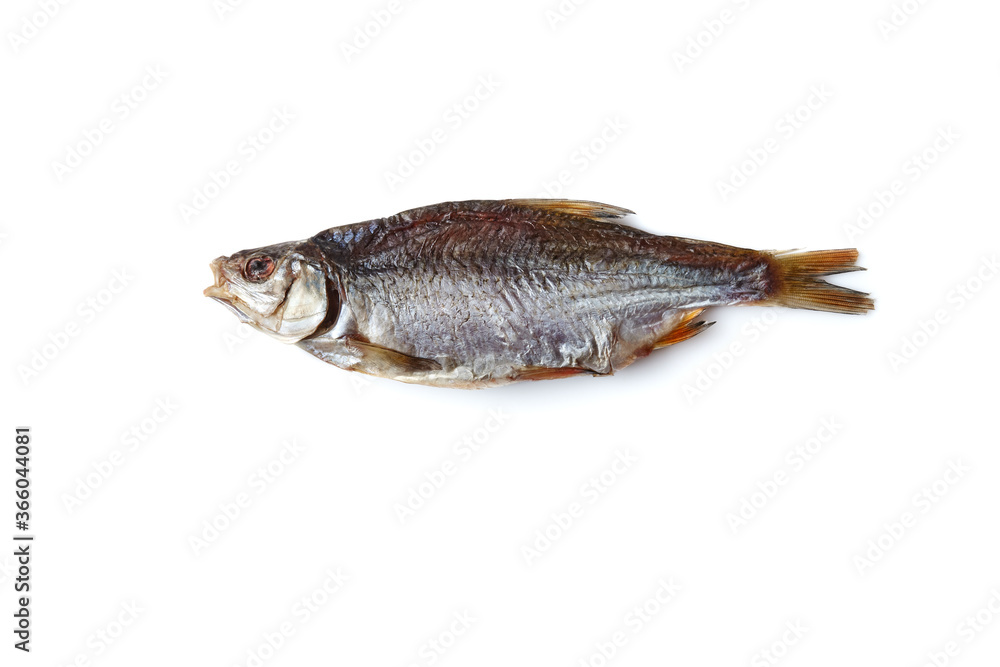 One jerky or dried salted roach, delicious clipfish isolated on white background. Salty beer appetizer. Traditional way of preserving fish. Close up One jerky or dried salted roach, delicious clipfish isolated on white background. Salty beer appetizer. Traditional way of preserving fish. Close up