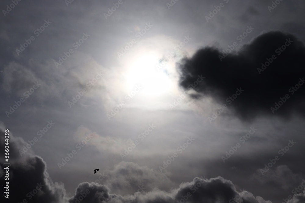 Grey Cloudy Sky Grey Cloudy Sky