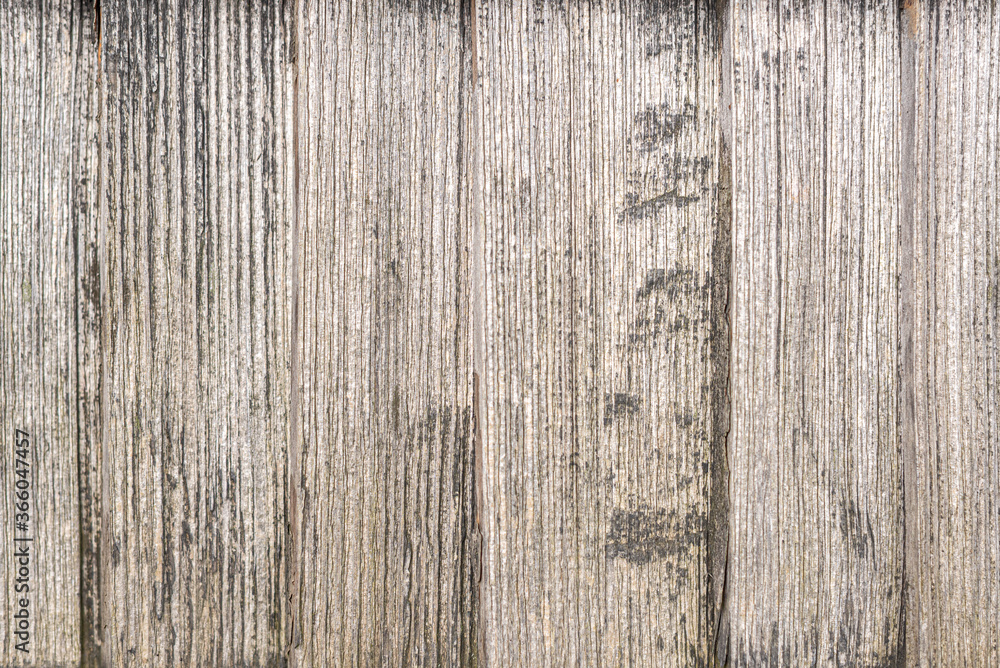 Naklejka premium Old Wooden texture.