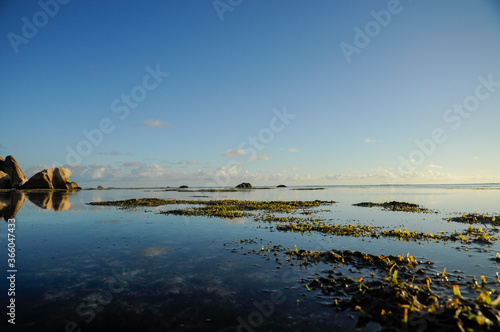 Low tide in the beautiful beach of Anse D'Argent with sea grass and blue sky. La Digue Island, Seychelles