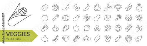 Veggies line icon set. Isolated signs on white background. Vector illustration. Collection