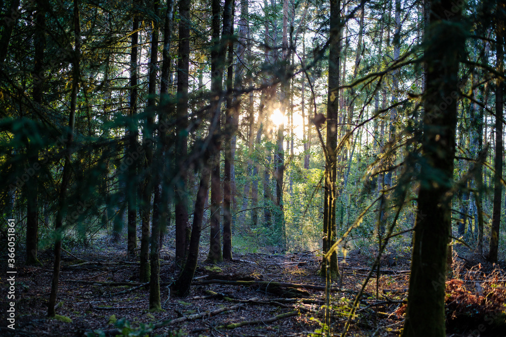 campagne haute corrèze