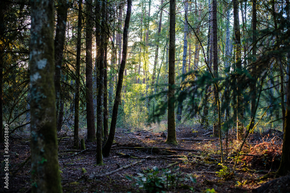 Obraz premium campagne haute corrèze