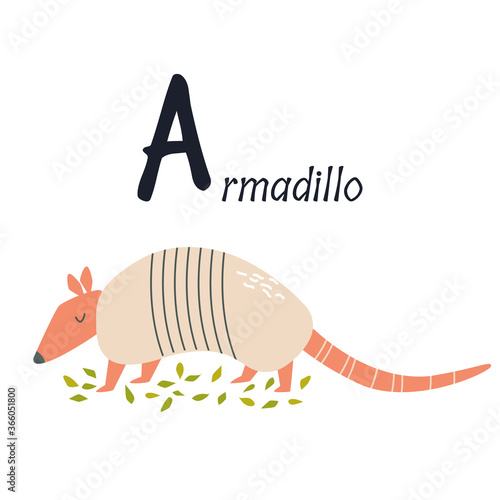 Funny image of armadillo and letter A. Zoo alphabet collection.