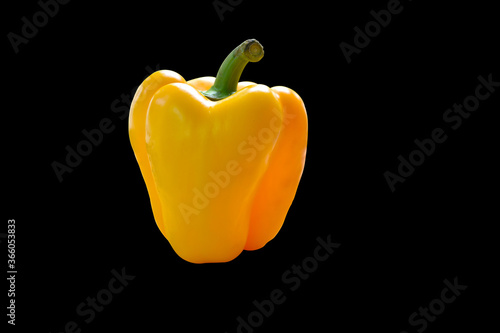 Yellow bell pepper on black background photo