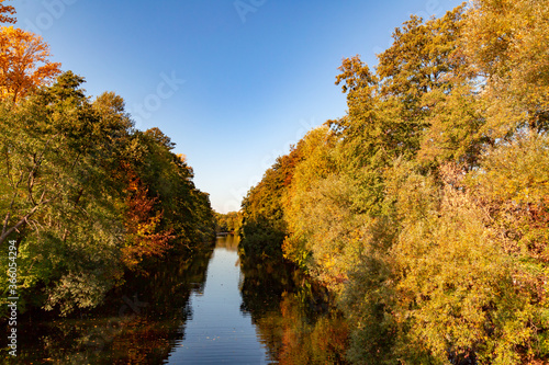 farbiges Herbstlaub in einem Wald an einem Fluss, Ahorn