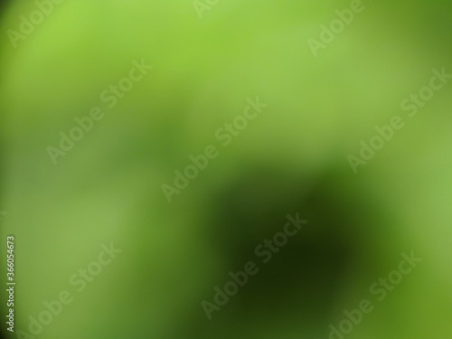 blurred background with shades of green