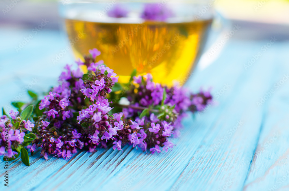 Thyme is a genus of shrubs and semi-shrubs of the labiate family. Thyme is a genus of shrubs and semi-shrubs of the labiate family.