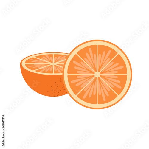 Slise and half ogange vector