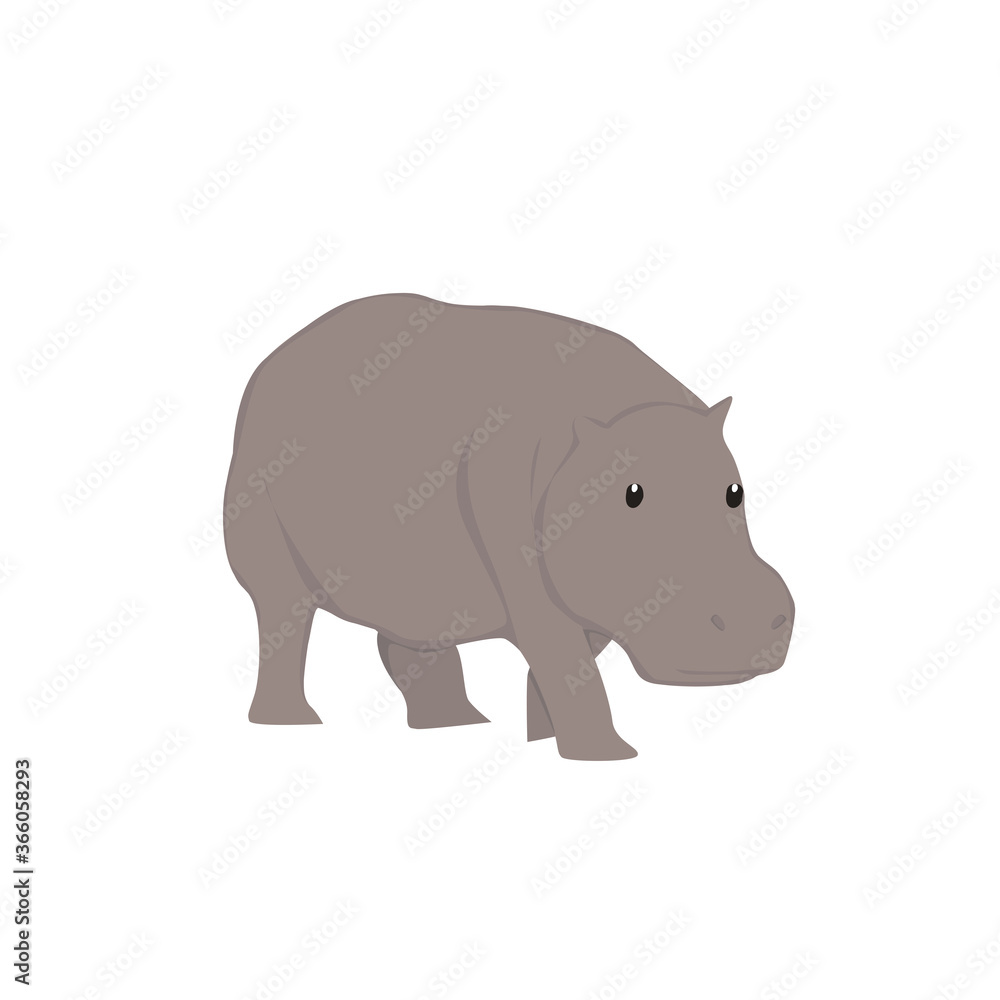 Hippopotamus  Illustration