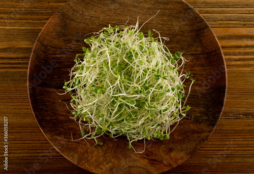 Red Clover Sprouts, Micro Green Healthy Eating Concept photo