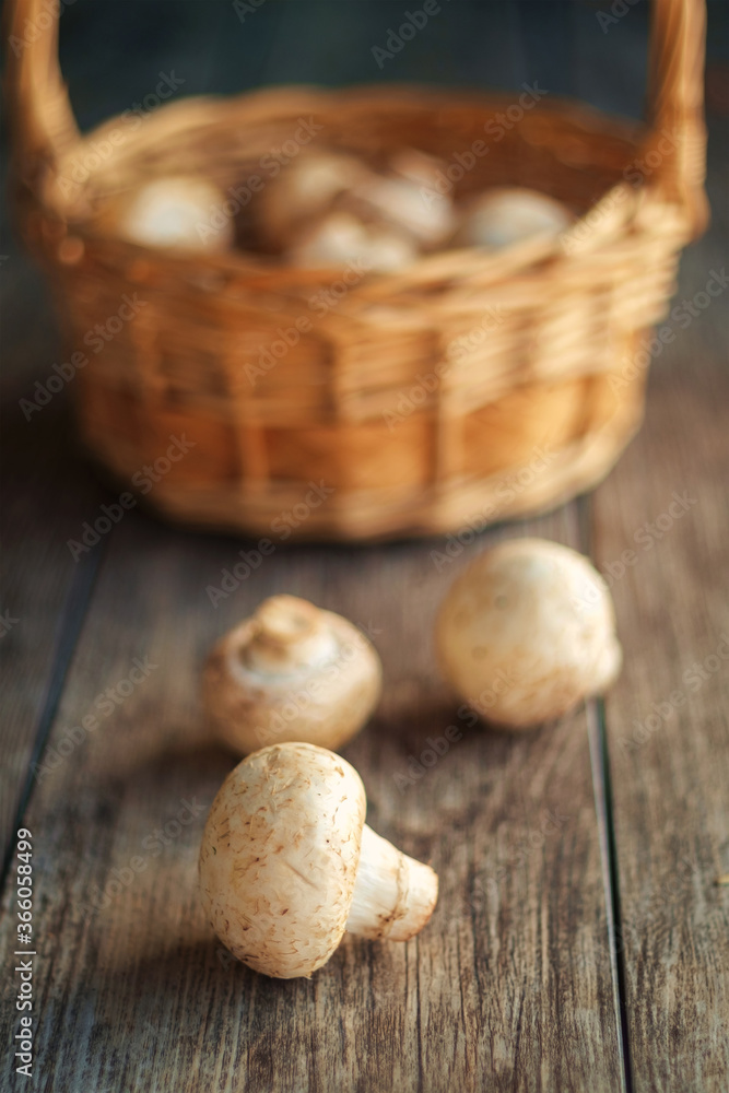 White mushrooms on the wooden rustic table with blurred basket on background