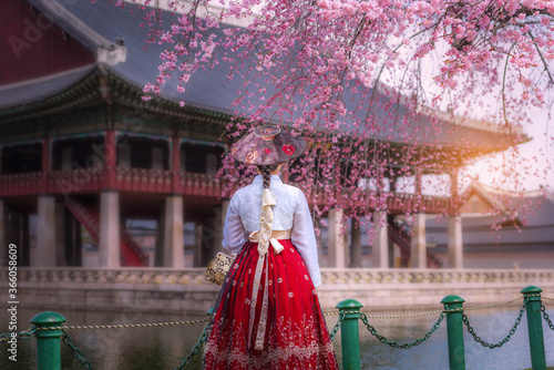 Cherry Blossom with Korean national dress at Gyeongbokgung Palace Seoul,South Korea.