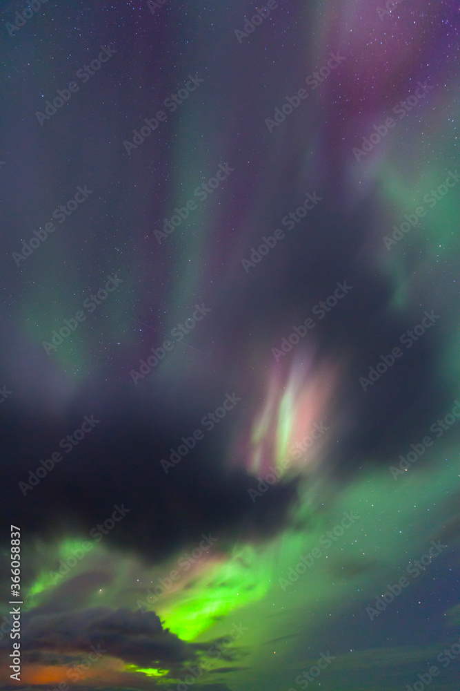 Fototapeta premium Northern Lights, Southern Iceland, Iceland, Europe