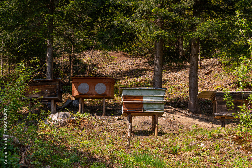 Small apiary with colorful bee hives in mountains Small apiary with colorful bee hives in mountains