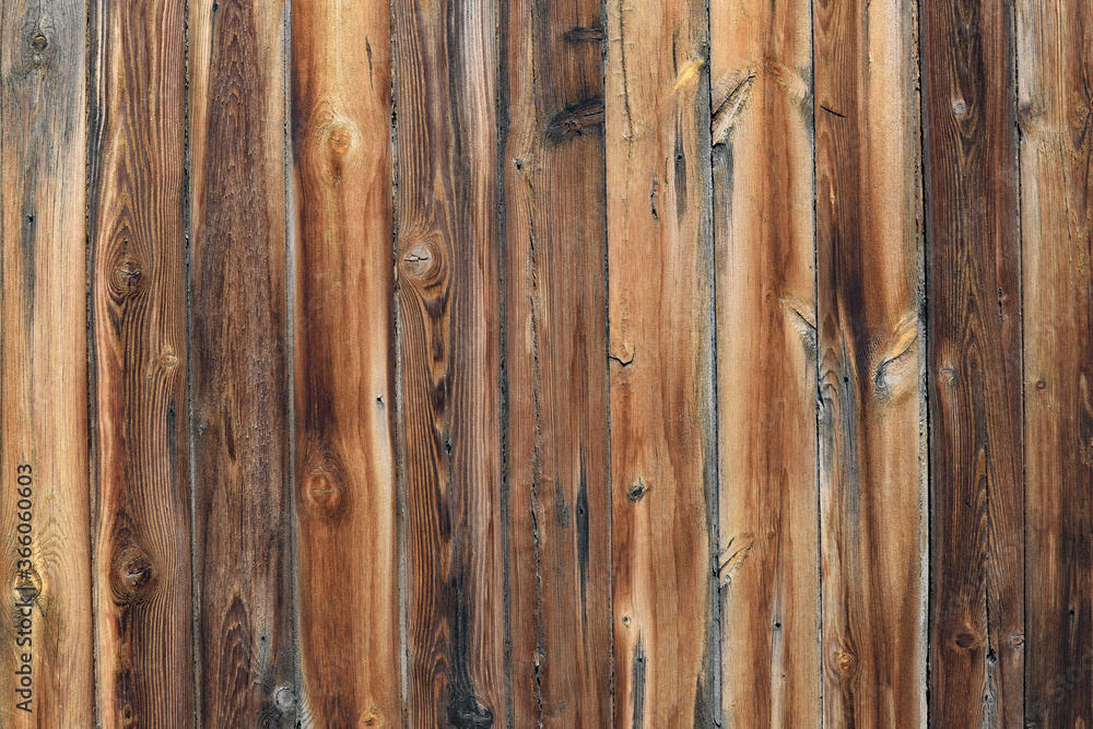 Fototapeta premium Old spruce planks texture. Spruce planks on old fence, table or floor, texture of a natural tree.
