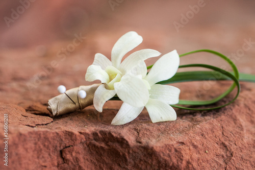 mini orchid single groom boutonniere