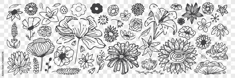 Hand drawn flowers doodle set.