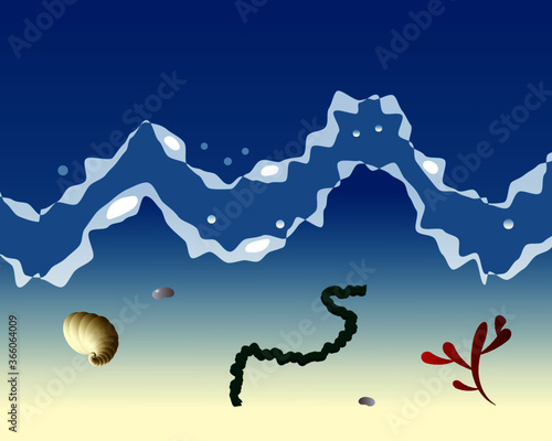 seaside with shells and seaweeds