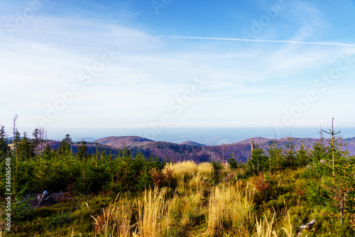 Fototapeta Naklejka Na Ścianę i Meble -  Foliage colors in Polish Beskidy mountains, Beskid Slaski, Poland
