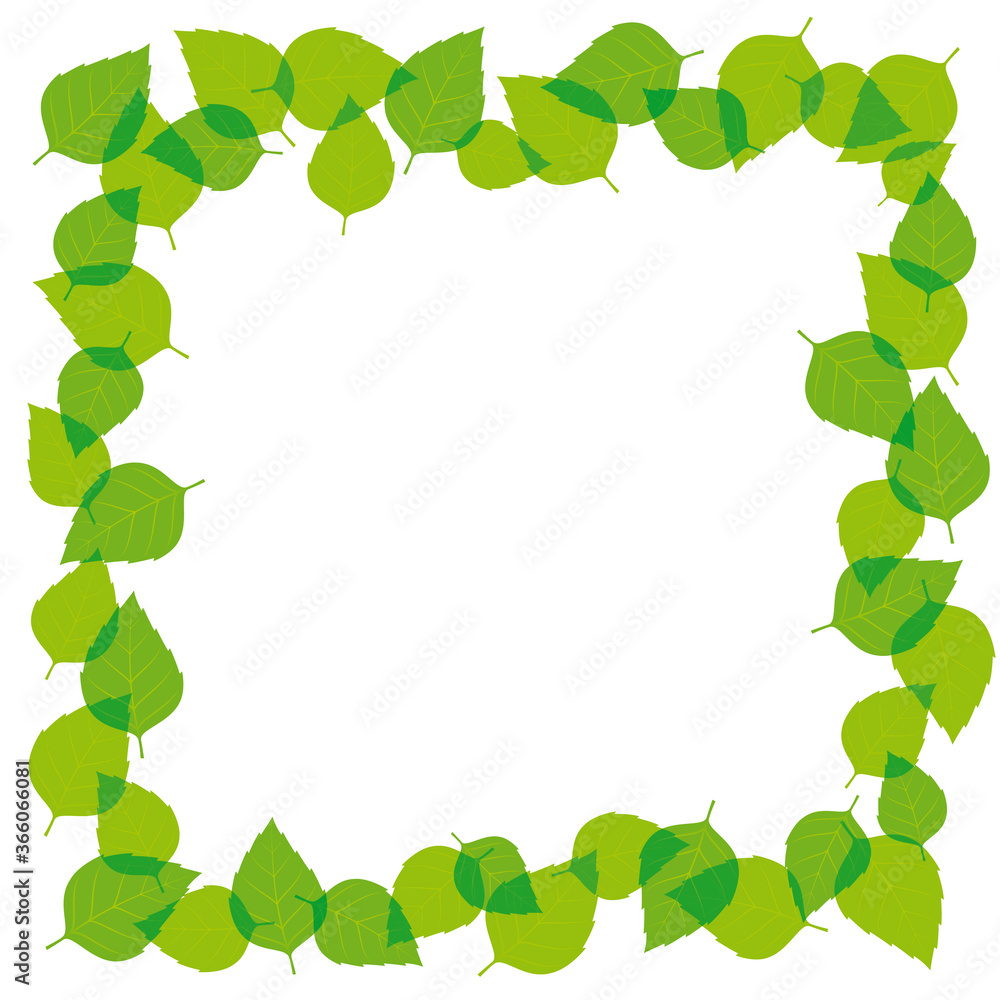 Vector square green frame with leaves. Isolated on white background.