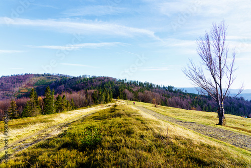 Fototapeta Naklejka Na Ścianę i Meble -  Foliage colors in Polish Beskidy mountains, Beskid Slaski, Poland