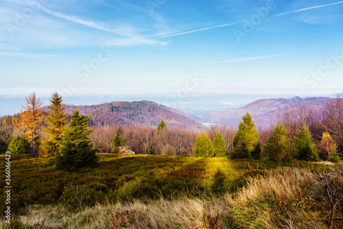 Fototapeta Naklejka Na Ścianę i Meble -  Foliage colors in Polish Beskidy mountains, Beskid Slaski, Poland