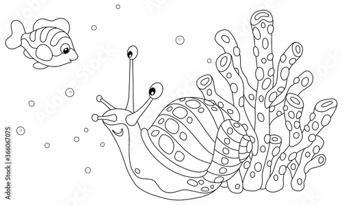 Funny marine snail and a sm...