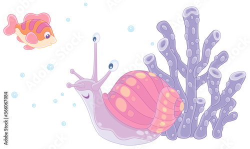 Funny marine snail and a sm...