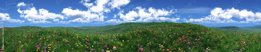 Meadow with flowers under the sky with clouds, panorama of green flowering hills, 3D rendering