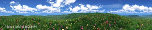 Meadow with flowers under the sky with clouds, panorama of green flowering hills, 3D rendering