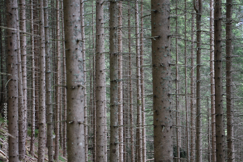 Obraz premium Steiermark