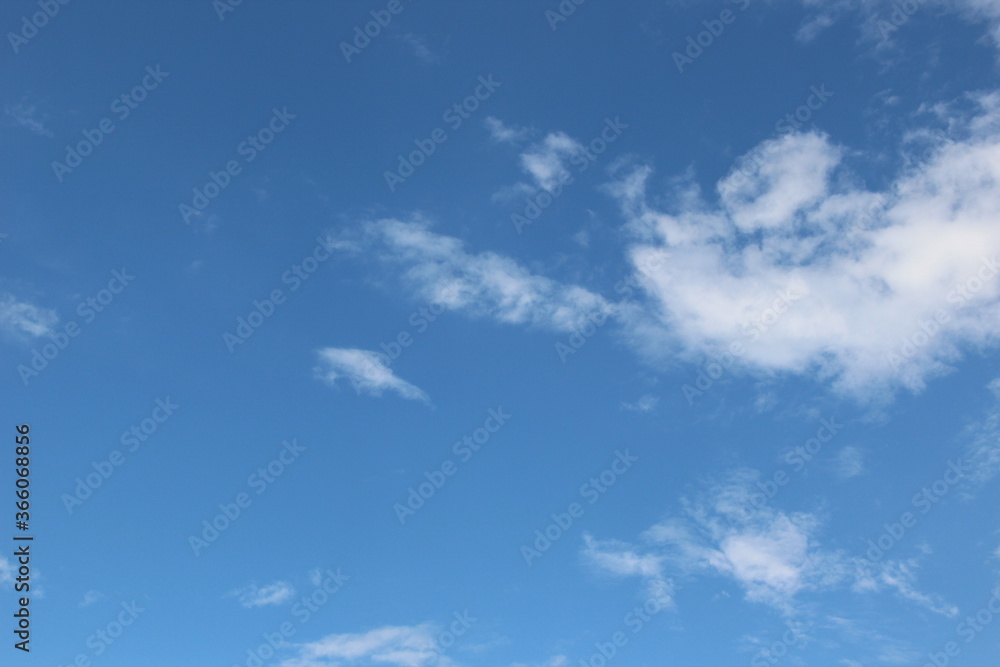 White feather clouds in a blue sky. Backgrounds White feather clouds in a blue sky. Backgrounds