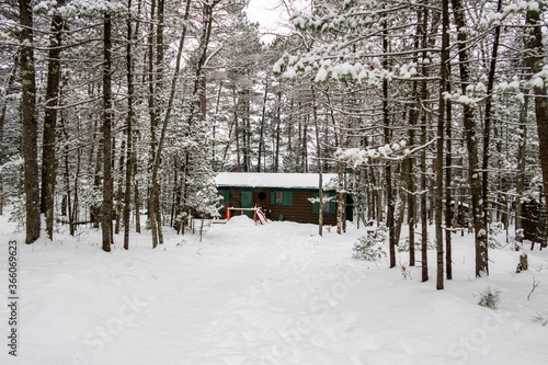 Wallpaper Mural Brown cabin in the white wintry forest Torontodigital.ca