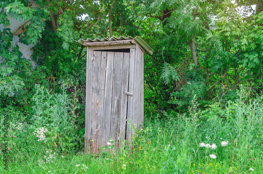 Old wooden toilet on the edge of the forest on a background of green trees in the grass.