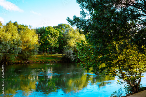 autumn trees reflected in water