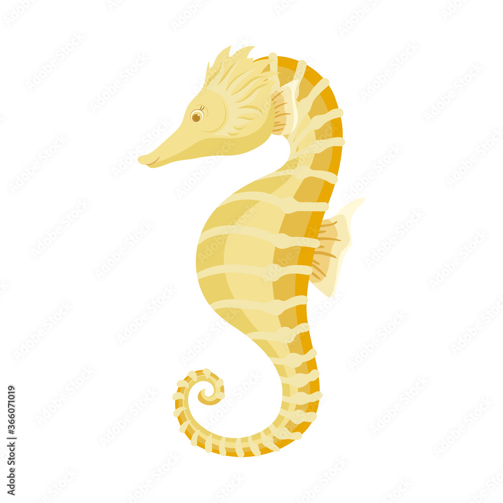 Fototapeta premium Seahorse vector cartoon illustration isolated on white background.