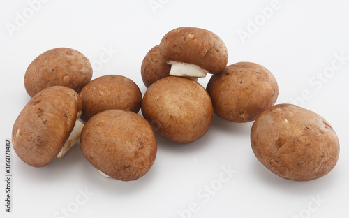 When immature and brown  it may be known variously as Swiss brown mushroom  Roman brown mushroom  Italian brown mushroom  cremini crimini mushroom  chestnut mushroom .