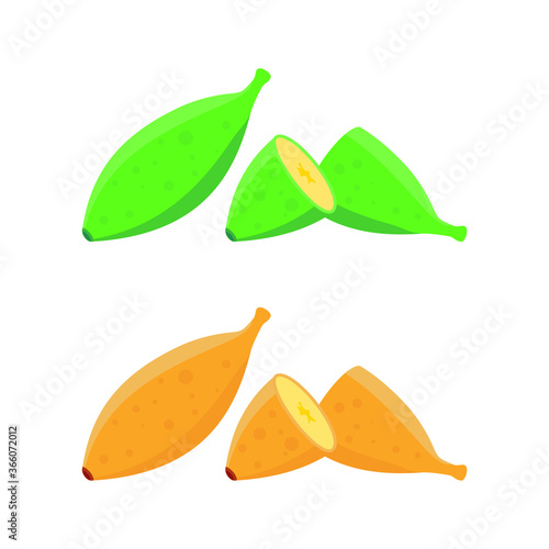 Slice of Bananas Vector illustration. with flat cartoon design. green and yellow color. ripe and immature banana.
