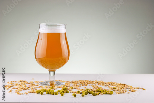 Glass of craft beer with barley and hops