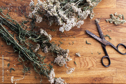 collection of herbs, dried yarrow on a wooden brown background, kitchen board,