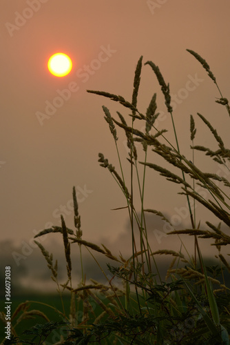 Sunrise Farm Mist. Sunrise over a misty farm field.