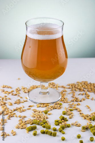 Glass of homebrewed blond ale with barley and hops