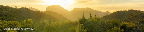 Schilderij op canvas The warm glow of a setting sun the in Sonoran Desert of Arizona with saguaro cacti in the foreground and mountains in the distance