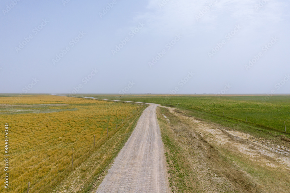 road in the field