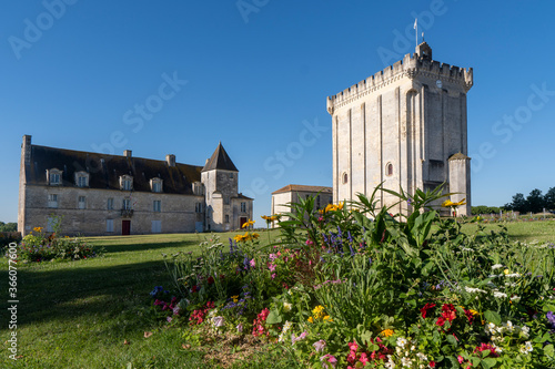 The Keep of Pons or Fortress of Pons, France. Medieval tower, one of the few remnants of the original castle of Pons.