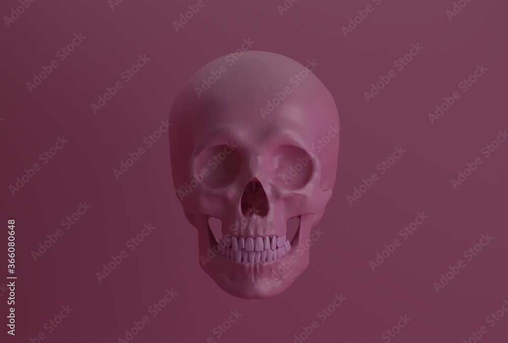 human pink skull on pink background, front view, 3d render human pink skull on pink background, front view, 3d render