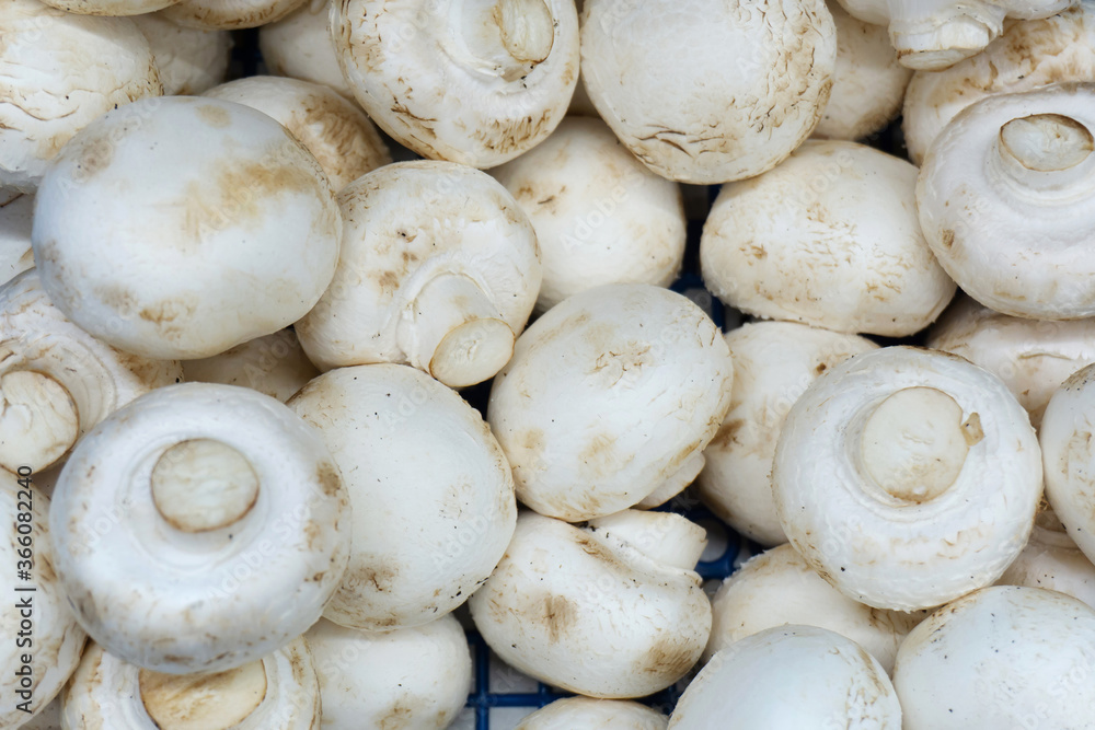 Champignon mushrooms. Selling food products in a store Champignon mushrooms. Selling food products in a store