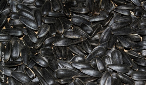 Seeds close up. Photo for advertising